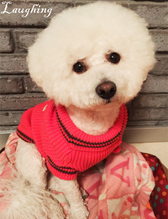 花貓小屋的個(gè)人主頁(yè)（封面預(yù)覽） - 主頁(yè)封面設(shè)置 - 站酷設(shè)計(jì)師花貓小屋原創(chuàng)素材 - 站酷ZCOOL