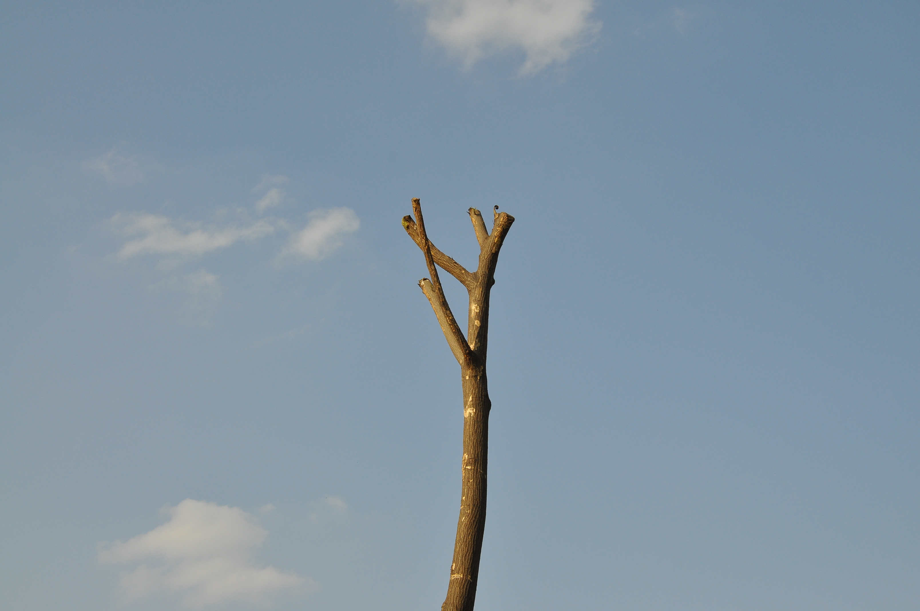 YanY20的個(gè)人主頁(yè)（封面預(yù)覽） - 主頁(yè)封面設(shè)置 - 站酷設(shè)計(jì)師YanY20原創(chuàng)素材 - 站酷ZCOOL