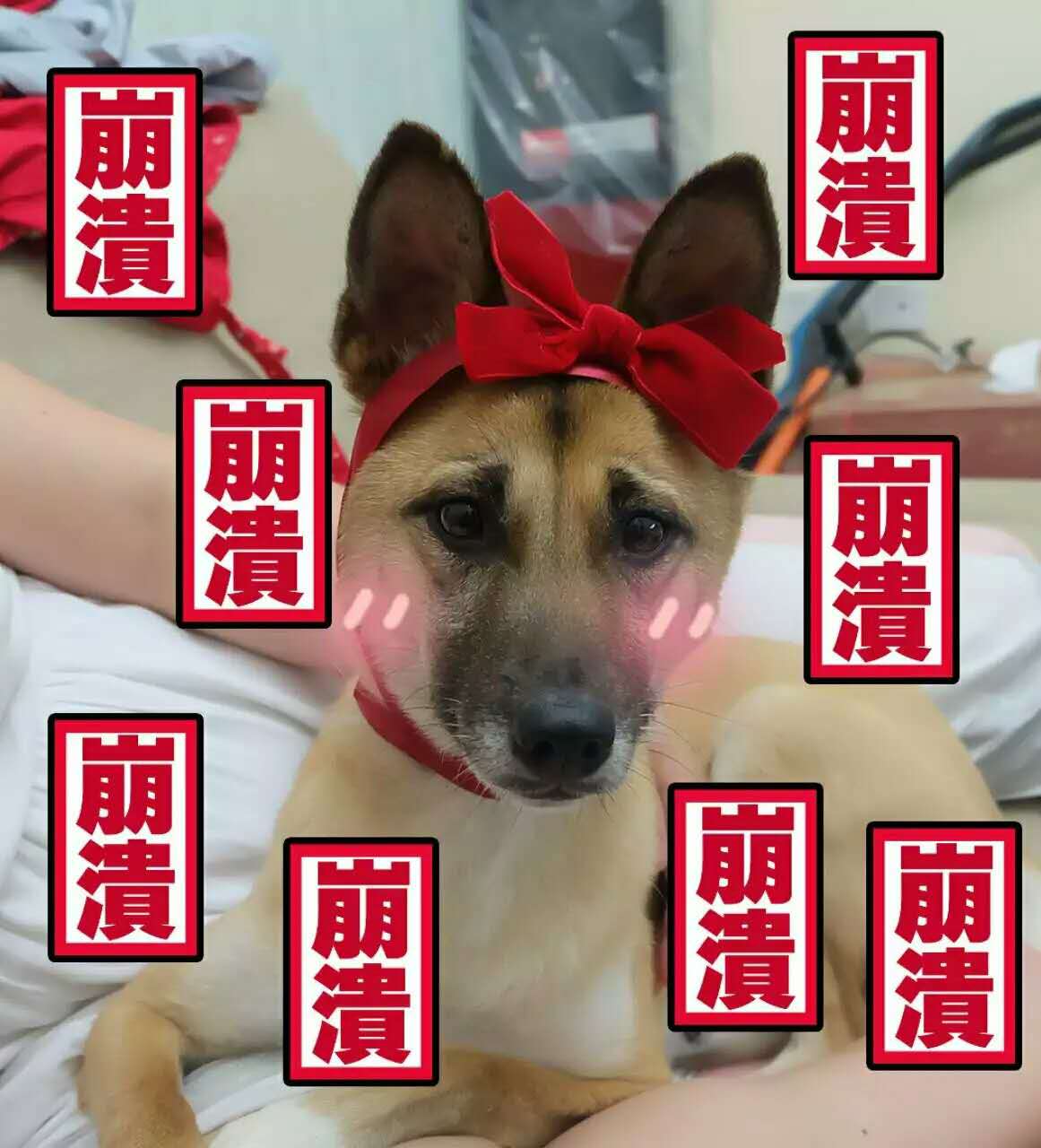 AD_AD的個(gè)人主頁（封面預(yù)覽） - 主頁封面設(shè)置 - 站酷設(shè)計(jì)師AD_AD原創(chuàng)素材 - 站酷ZCOOL