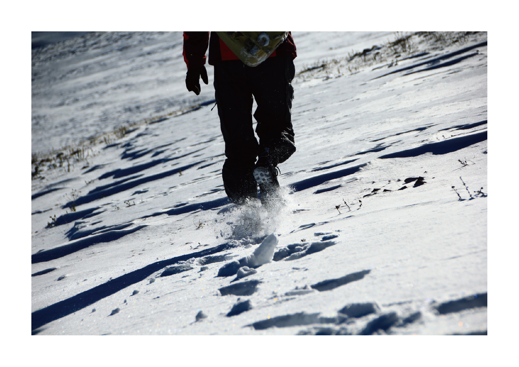 zihcd的个人主页（封面预览） - 主页封面设置 - 站酷设计师zihcd原创素材 - 站酷ZCOOL