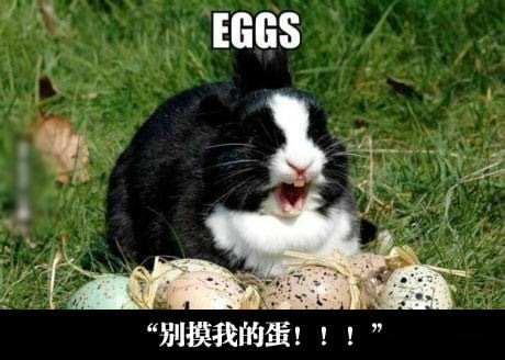 illustraio的个人主页（封面预览） - 主页封面设置 - 站酷设计师illustraio原创素材 - 站酷ZCOOL