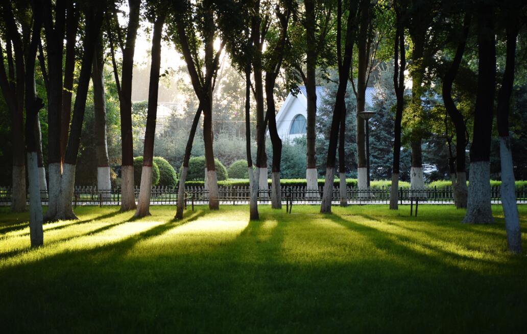 Taushine的个人主页（封面预览） - 主页封面设置 - 站酷设计师Taushine原创素材 - 站酷ZCOOL