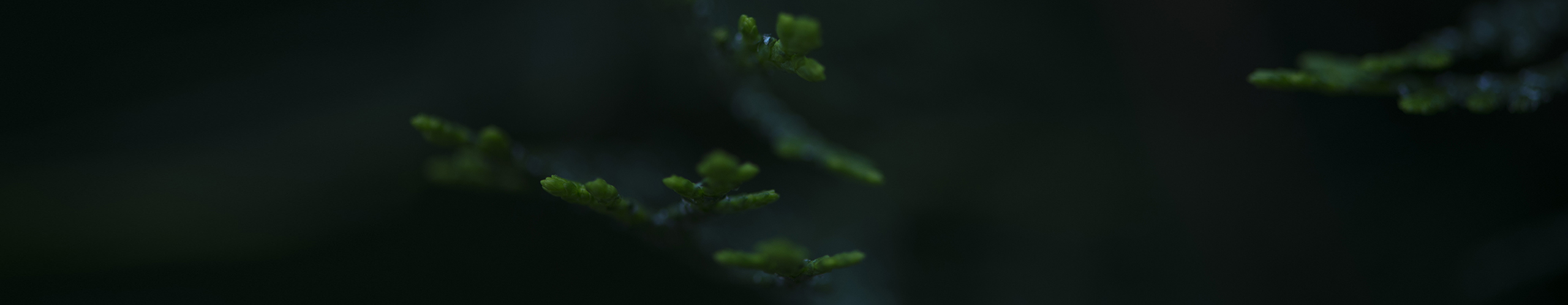 清覺的個(gè)人主頁（封面預(yù)覽） - 主頁封面設(shè)置 - 站酷設(shè)計(jì)師清覺原創(chuàng)素材 - 站酷ZCOOL