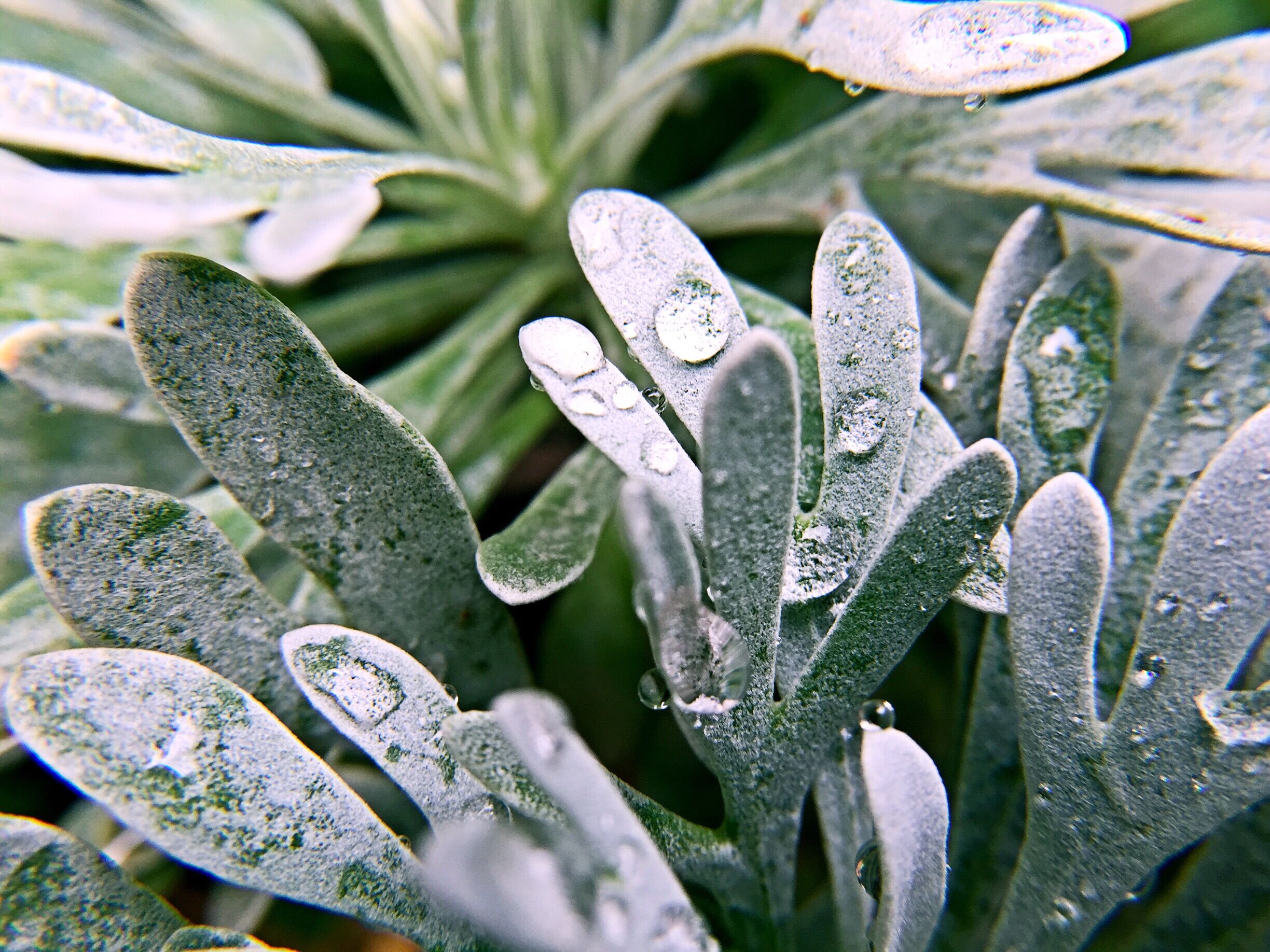 大倩Efauu的个人主页（封面预览） - 主页封面设置 - 站酷设计师大倩Efauu原创素材 - 站酷ZCOOL