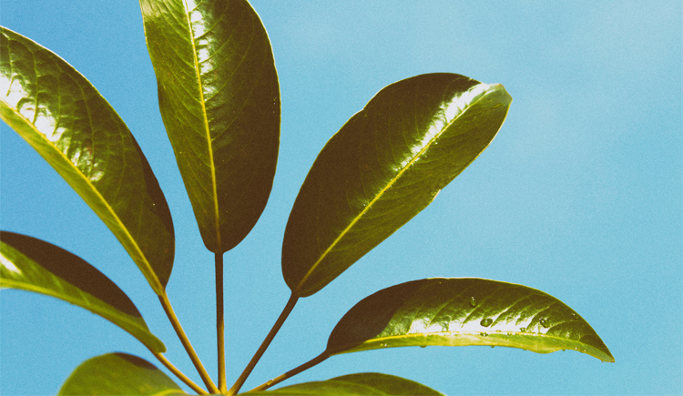 火山妹的个人主页（封面预览） - 主页封面设置 - 站酷设计师火山妹原创素材 - 站酷ZCOOL