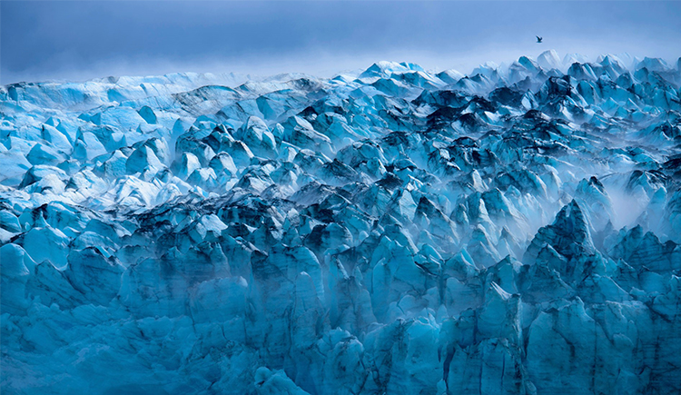 Soleil_Sun的个人主页（封面预览） - 主页封面设置 - 站酷设计师Soleil_Sun原创素材 - 站酷ZCOOL