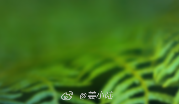 姜小陸的個人主頁（封面預(yù)覽） - 主頁封面設(shè)置 - 站酷設(shè)計師姜小陸原創(chuàng)素材 - 站酷ZCOOL