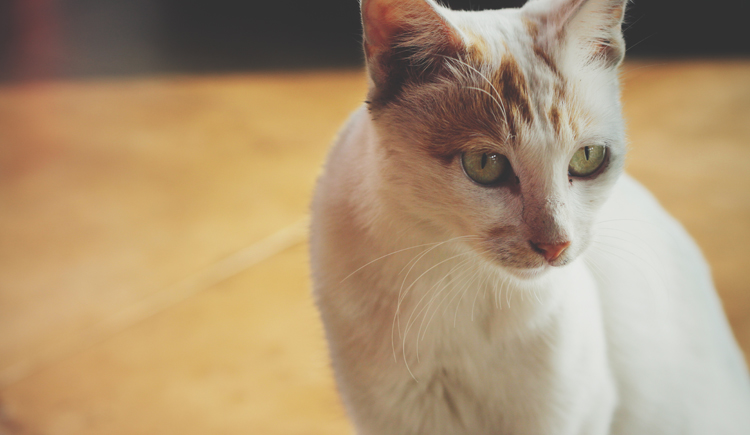 kentacmr的个人主页（封面预览） - 主页封面设置 - 站酷设计师kentacmr原创素材 - 站酷ZCOOL