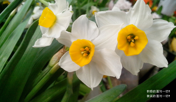 erduoduo的个人主页（封面预览） - 主页封面设置 - 站酷设计师erduoduo原创素材 - 站酷ZCOOL