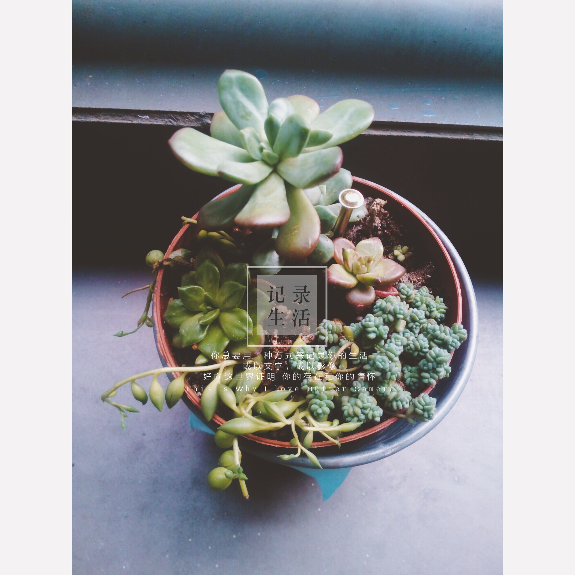 Joliewong的个人主页（封面预览） - 主页封面设置 - 站酷设计师Joliewong原创素材 - 站酷ZCOOL