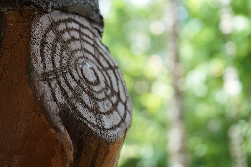 pinna29的个人主页（封面预览） - 主页封面设置 - 站酷设计师pinna29原创素材 - 站酷ZCOOL