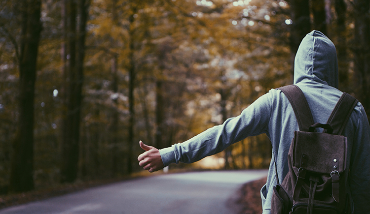 陆扬的个人主页（封面预览） - 主页封面设置 - 站酷设计师陆扬原创素材 - 站酷ZCOOL