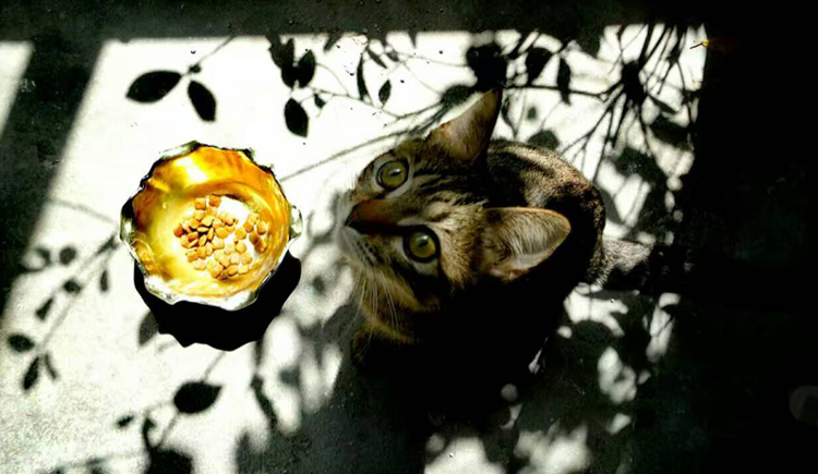 一点一多一点的个人主页（封面预览） - 主页封面设置 - 站酷设计师一点一多一点原创素材 - 站酷ZCOOL