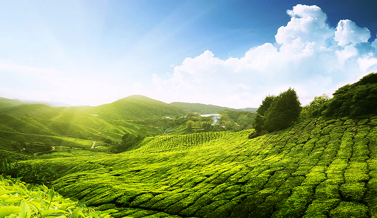 youhebi的个人主页（封面预览） - 主页封面设置 - 站酷设计师youhebi原创素材 - 站酷ZCOOL