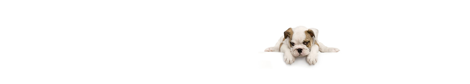 垣而的個(gè)人主頁（封面預(yù)覽） - 主頁封面設(shè)置 - 站酷設(shè)計(jì)師垣而原創(chuàng)素材 - 站酷ZCOOL