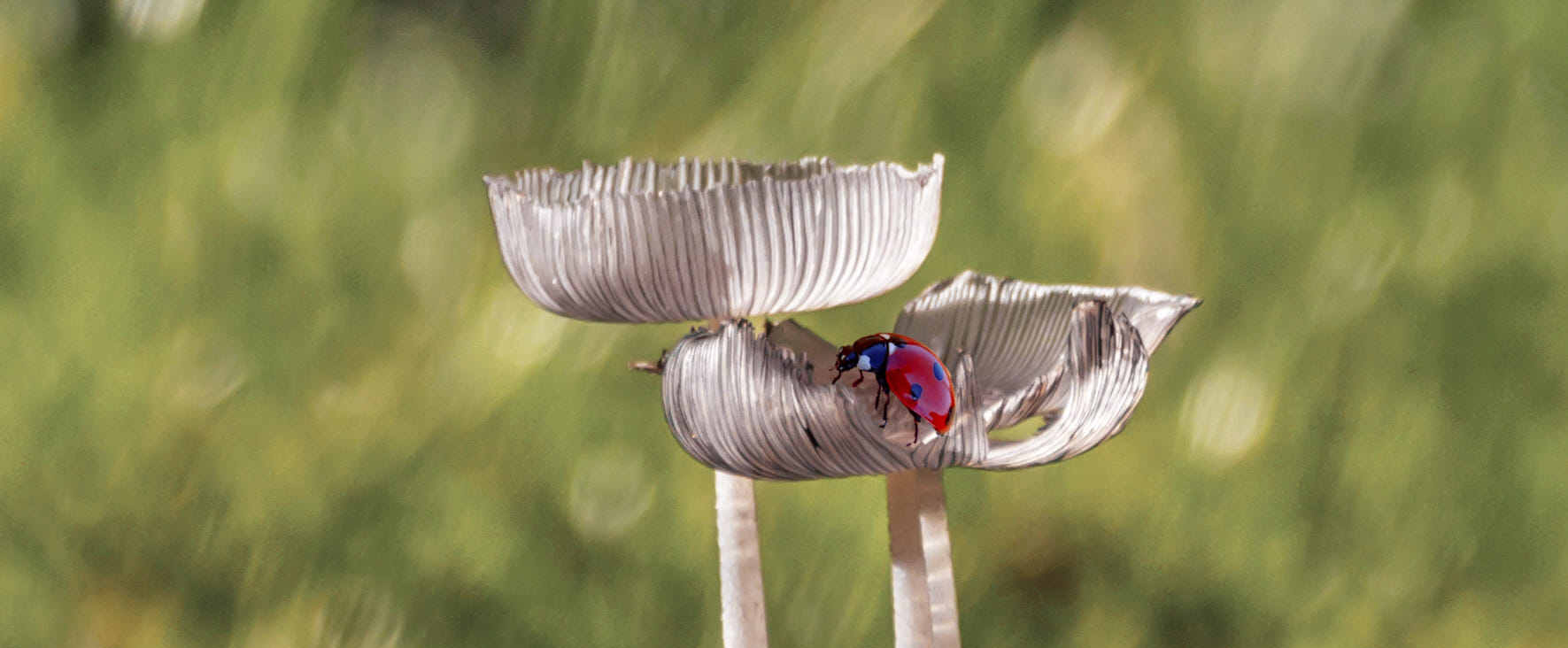 小平头的担心的个人主页（封面预览） - 主页封面设置 - 站酷设计师小平头的担心原创素材 - 站酷ZCOOL