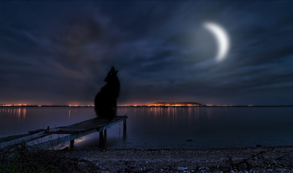 泣羽的個人主頁（封面預(yù)覽） - 主頁封面設(shè)置 - 站酷設(shè)計師泣羽原創(chuàng)素材 - 站酷ZCOOL