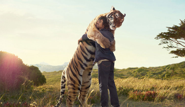 比尔盖次的个人主页（封面预览） - 主页封面设置 - 站酷设计师比尔盖次原创素材 - 站酷ZCOOL