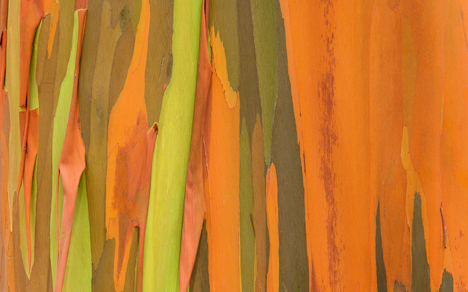 小隔隔打个嗝的个人主页（封面预览） - 主页封面设置 - 站酷设计师小隔隔打个嗝原创素材 - 站酷ZCOOL