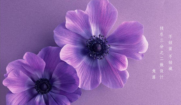 角落90的个人主页（封面预览） - 主页封面设置 - 站酷设计师角落90原创素材 - 站酷ZCOOL