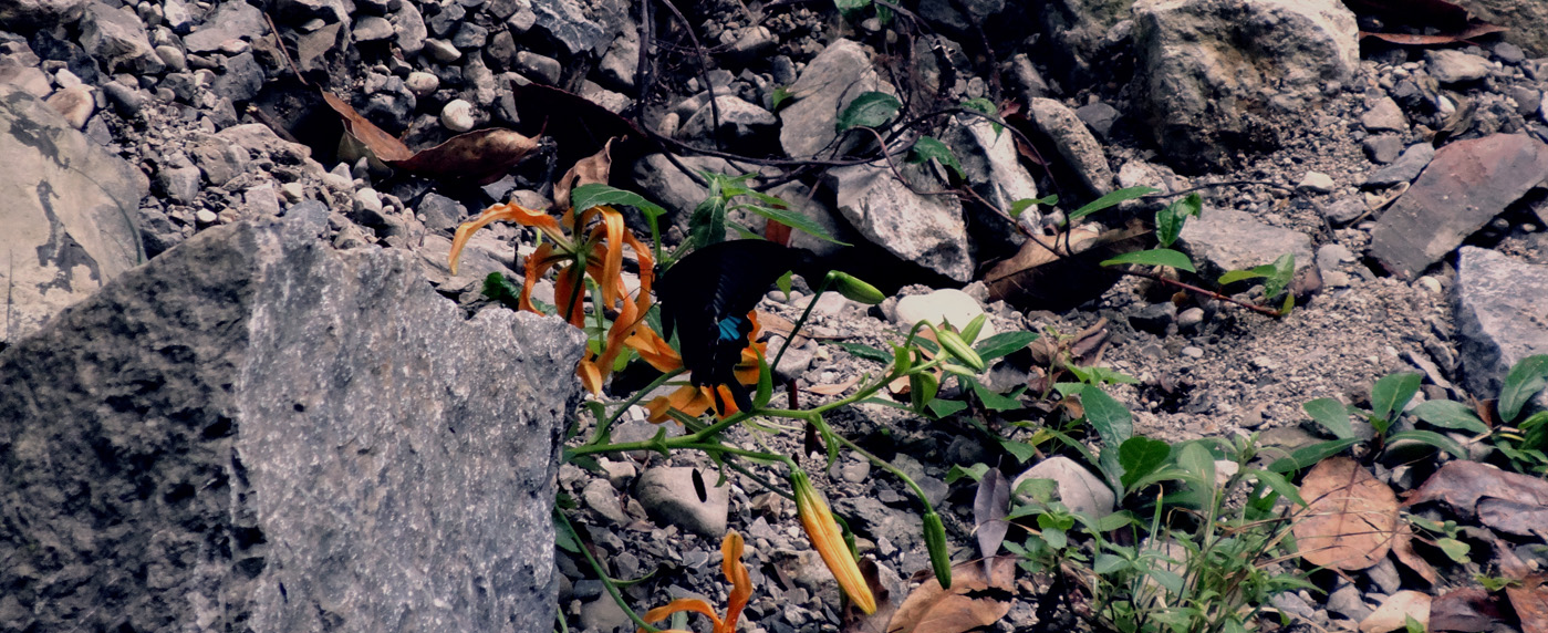 Sanji小伍的個(gè)人主頁(yè)（封面預(yù)覽） - 主頁(yè)封面設(shè)置 - 站酷設(shè)計(jì)師Sanji小伍原創(chuàng)素材 - 站酷ZCOOL