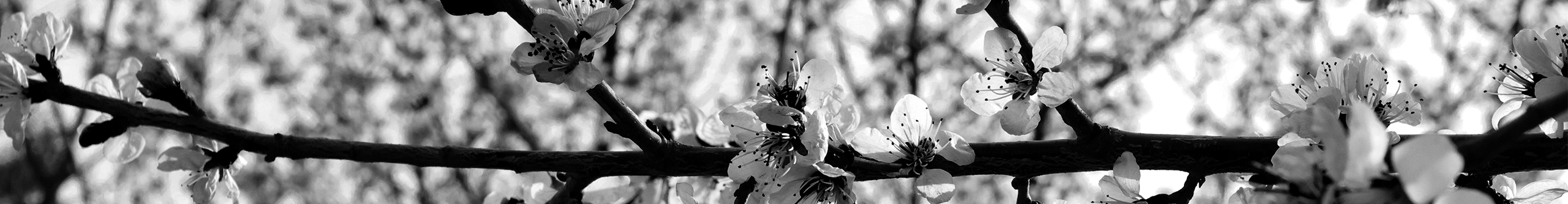 Blue贝鲁的个人主页（封面预览） - 主页封面设置 - 站酷设计师Blue贝鲁原创素材 - 站酷ZCOOL