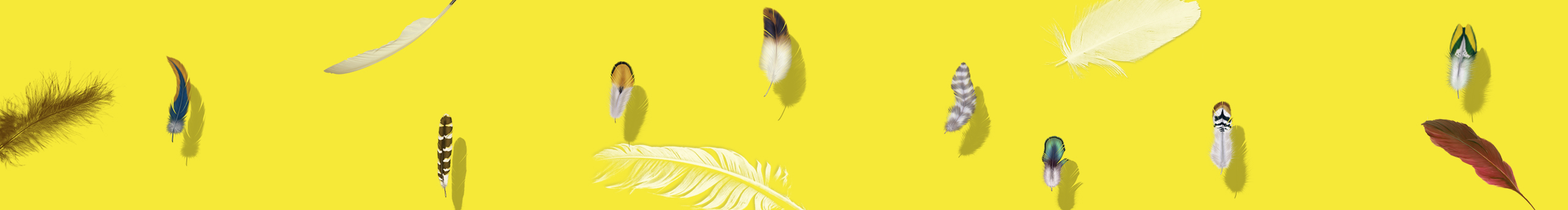 怪物阿聪的个人主页（封面预览） - 主页封面设置 - 站酷设计师怪物阿聪原创素材 - 站酷ZCOOL