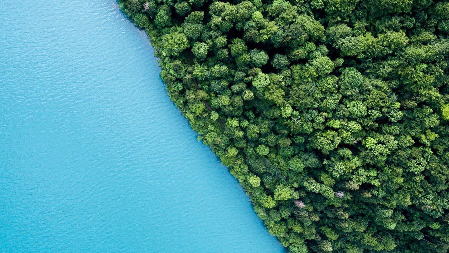 会说话de猫的个人主页（封面预览） - 主页封面设置 - 站酷设计师会说话de猫原创素材 - 站酷ZCOOL