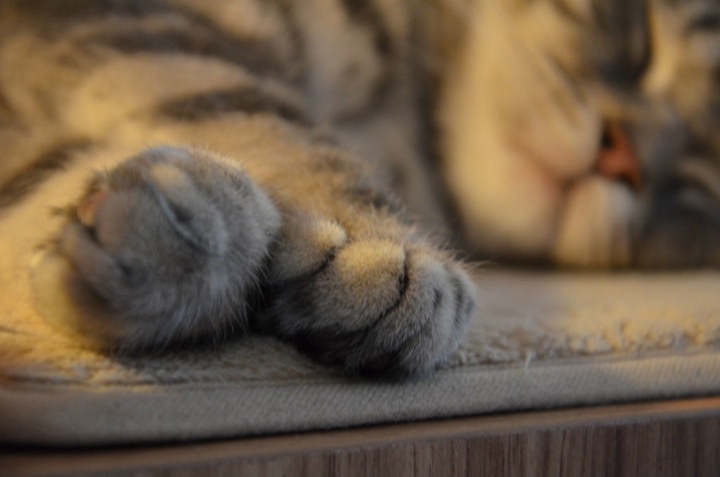 唐老板err的个人主页（封面预览） - 主页封面设置 - 站酷设计师唐老板err原创素材 - 站酷ZCOOL