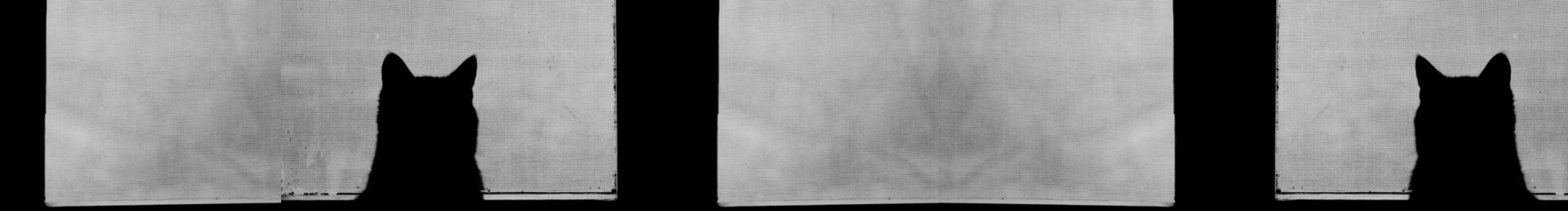 YY_零的個(gè)人主頁(yè)（封面預(yù)覽） - 主頁(yè)封面設(shè)置 - 站酷設(shè)計(jì)師YY_零原創(chuàng)素材 - 站酷ZCOOL