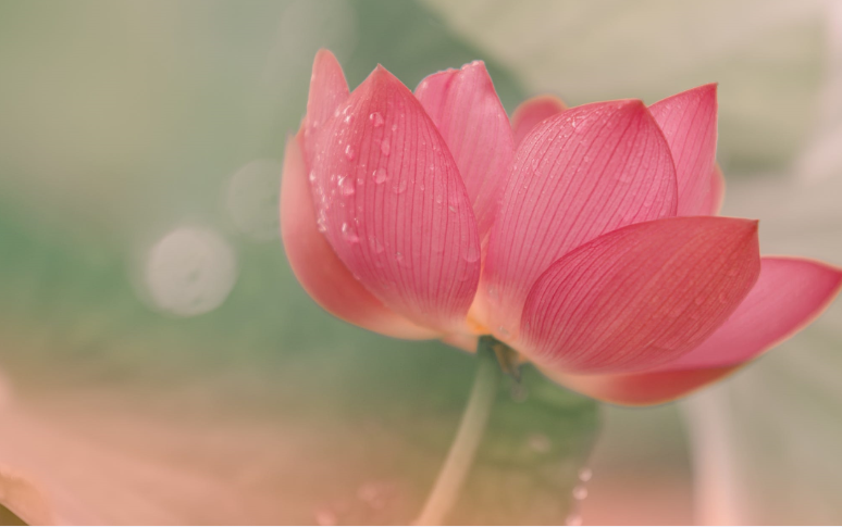 Miss穎穎的個人主頁（封面預覽） - 主頁封面設置 - 站酷設計師Miss穎穎原創(chuàng)素材 - 站酷ZCOOL