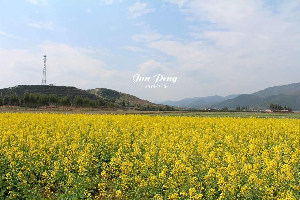 鵬鵬1004的個(gè)人主頁（封面預(yù)覽） - 主頁封面設(shè)置 - 站酷設(shè)計(jì)師鵬鵬1004原創(chuàng)素材 - 站酷ZCOOL