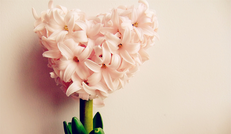 酷酷撒的个人主页（封面预览） - 主页封面设置 - 站酷设计师酷酷撒原创素材 - 站酷ZCOOL