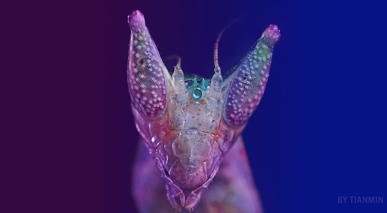 困困困小姐的个人主页（封面预览） - 主页封面设置 - 站酷设计师困困困小姐原创素材 - 站酷ZCOOL