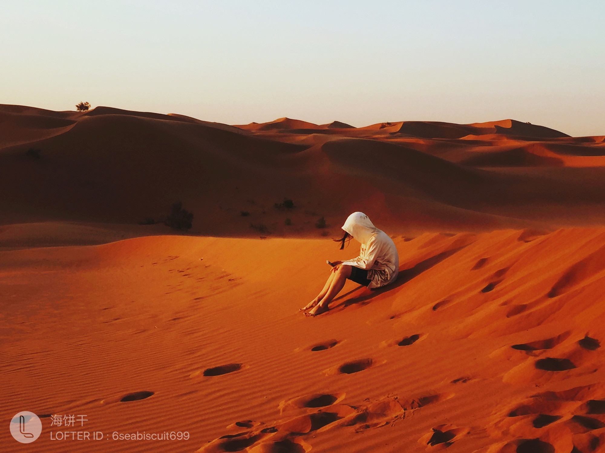 WonfuLee的个人主页（封面预览） - 主页封面设置 - 站酷设计师WonfuLee原创素材 - 站酷ZCOOL