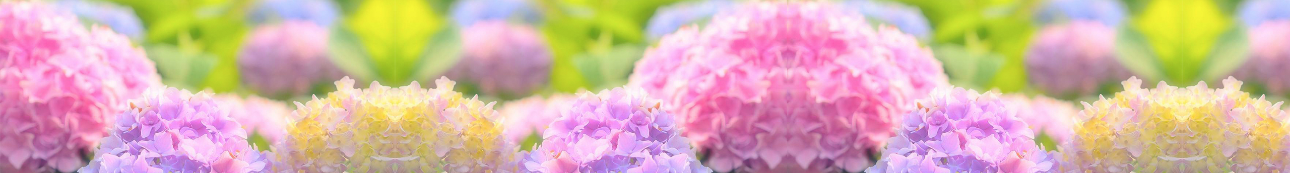 Lucky_lily的個(gè)人主頁(yè)（封面預(yù)覽） - 主頁(yè)封面設(shè)置 - 站酷設(shè)計(jì)師Lucky_lily原創(chuàng)素材 - 站酷ZCOOL