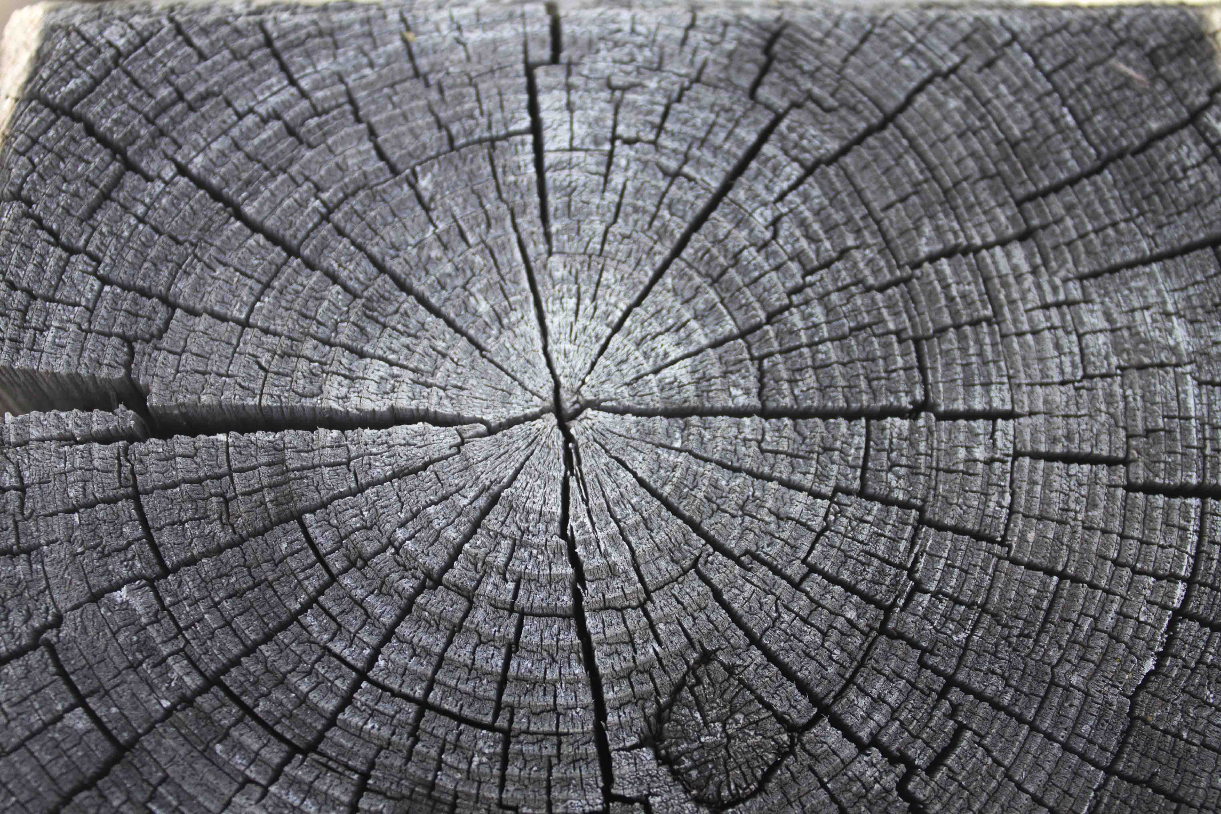 LPLFinan的個(gè)人主頁（封面預(yù)覽） - 主頁封面設(shè)置 - 站酷設(shè)計(jì)師LPLFinan原創(chuàng)素材 - 站酷ZCOOL