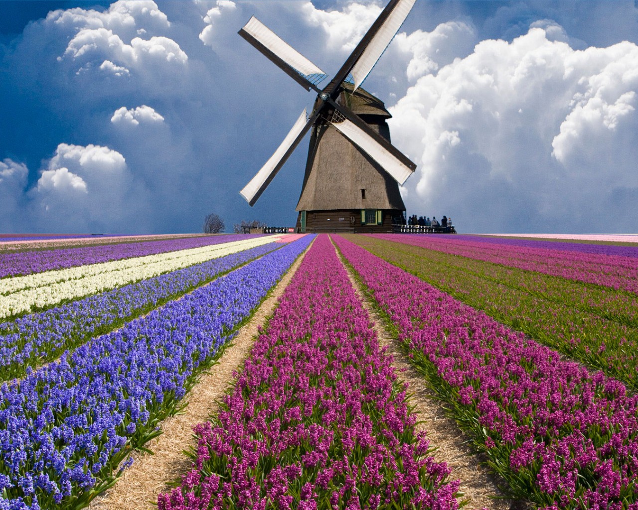 Asin陳的個(gè)人主頁（封面預(yù)覽） - 主頁封面設(shè)置 - 站酷設(shè)計(jì)師Asin陳原創(chuàng)素材 - 站酷ZCOOL