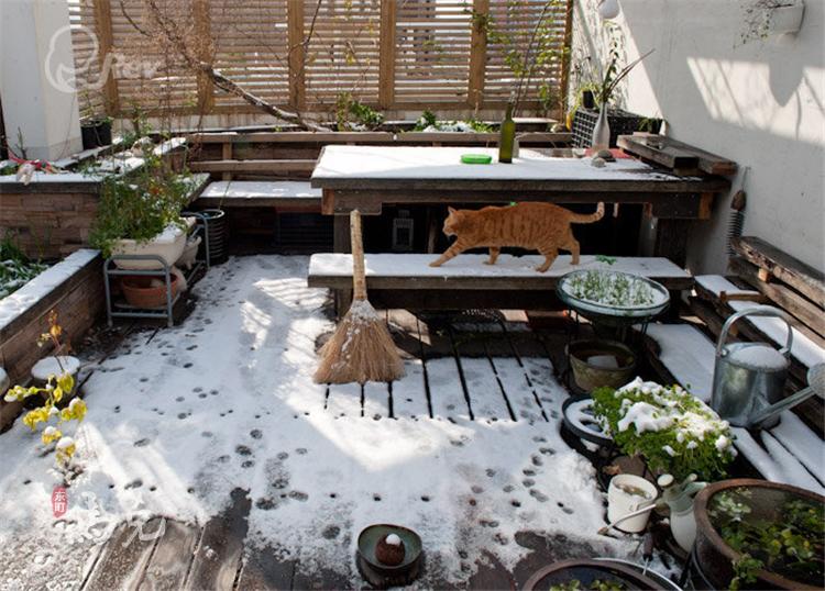 花園設(shè)計(jì)師馬克的個(gè)人主頁（封面預(yù)覽） - 主頁封面設(shè)置 - 站酷設(shè)計(jì)師花園設(shè)計(jì)師馬克原創(chuàng)素材 - 站酷ZCOOL