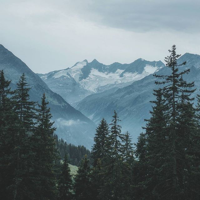 1根藤上7朵花的個(gè)人主頁（封面預(yù)覽） - 主頁封面設(shè)置 - 站酷設(shè)計(jì)師1根藤上7朵花原創(chuàng)素材 - 站酷ZCOOL