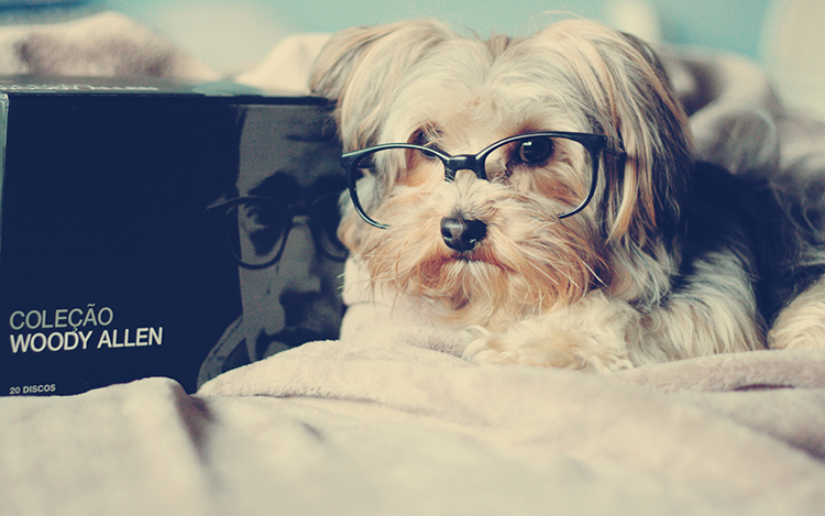 zlc124的個(gè)人主頁（封面預(yù)覽） - 主頁封面設(shè)置 - 站酷設(shè)計(jì)師zlc124原創(chuàng)素材 - 站酷ZCOOL