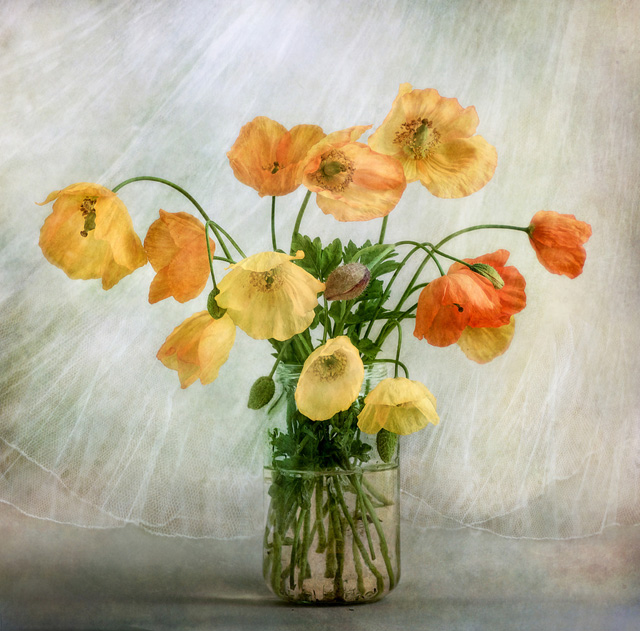 luckyEffy的个人主页（封面预览） - 主页封面设置 - 站酷设计师luckyEffy原创素材 - 站酷ZCOOL