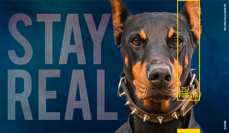 LZS_FOREVER的個人主頁（封面預(yù)覽） - 主頁封面設(shè)置 - 站酷設(shè)計師LZS_FOREVER原創(chuàng)素材 - 站酷ZCOOL