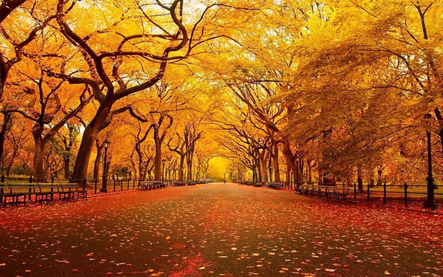 翎辞旧梦的个人主页（封面预览） - 主页封面设置 - 站酷设计师翎辞旧梦原创素材 - 站酷ZCOOL