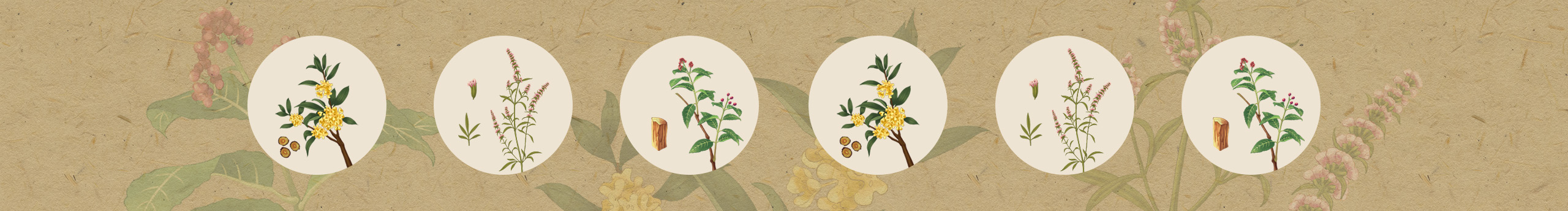 青梗rice的個人主頁（封面預(yù)覽） - 主頁封面設(shè)置 - 站酷設(shè)計師青梗rice原創(chuàng)素材 - 站酷ZCOOL