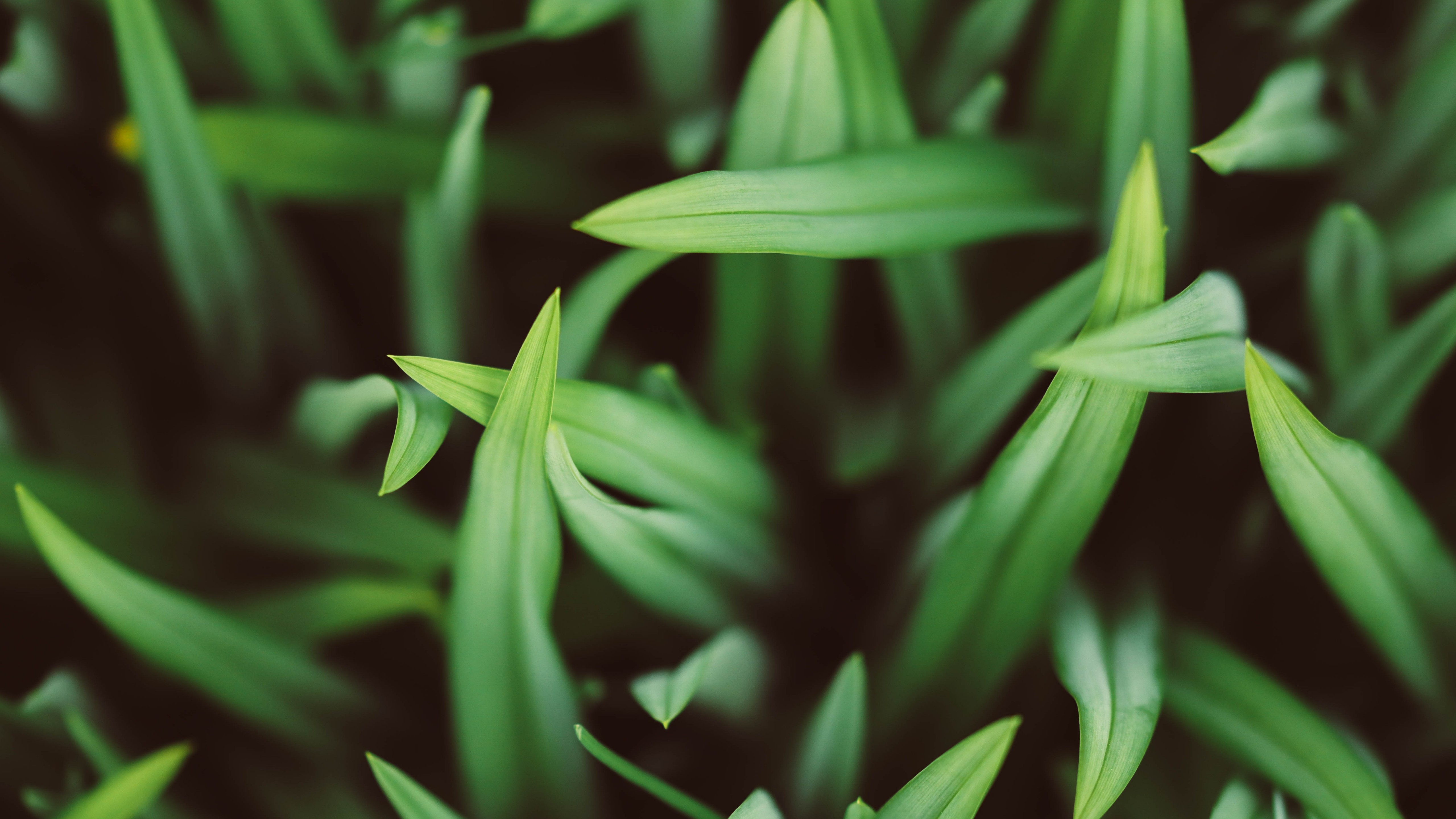 奕与迅的个人主页（封面预览） - 主页封面设置 - 站酷设计师奕与迅原创素材 - 站酷ZCOOL