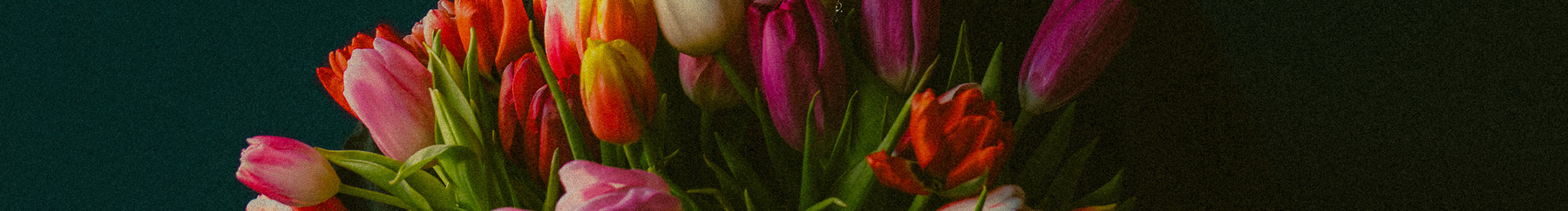 饭有安的个人主页（封面预览） - 主页封面设置 - 站酷设计师饭有安原创素材 - 站酷ZCOOL