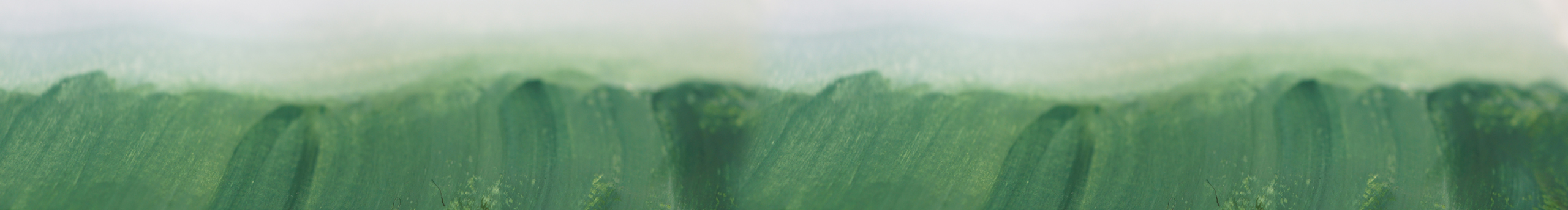 VelvetRabbit的個人主頁（封面預覽） - 主頁封面設置 - 站酷設計師VelvetRabbit原創(chuàng)素材 - 站酷ZCOOL