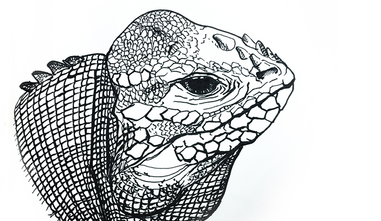 FY品牌的个人主页（封面预览） - 主页封面设置 - 站酷设计师FY品牌原创素材 - 站酷ZCOOL