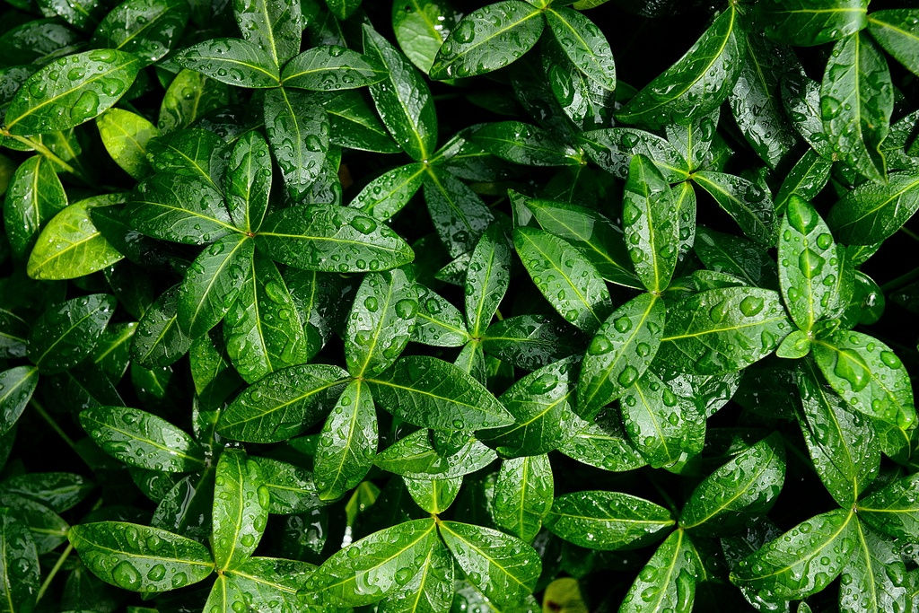 言若2015的個人主頁（封面預(yù)覽） - 主頁封面設(shè)置 - 站酷設(shè)計師言若2015原創(chuàng)素材 - 站酷ZCOOL